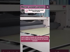 Hot Selling Product 5MM 8MM Wood Grain Wood Veneer Bamboo Charcoal PVC Wall Panel