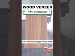 Solid Interior Decoration 1.22m Width Wood Grain Wood Veneer PVC Wall Panel