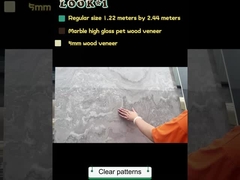 High Quality Environment Friendly Wall Panels Wall Interior PET Marble Wall Panel