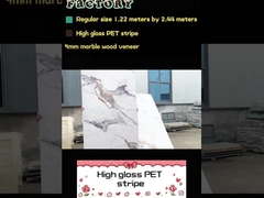 Bamboo Charcoal Wood Veneer PET Marble Texture Decorative PVC Wall Panel PET Wall Board