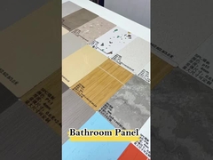 Waterproof Stone Plastic Siding Eco-Friendly SPC Wall Panel