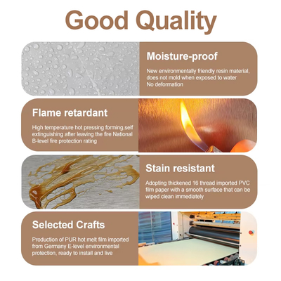 Bamboo Charcoal Wood Veneer Panel Waterproof Fireproof 1220x2440mm